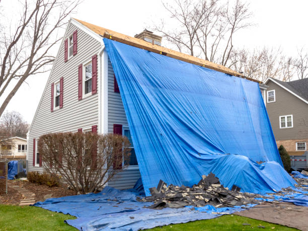 Shed Removal in Cadillac, MI